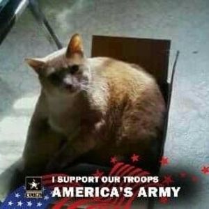 Meet your Posher, Bradley